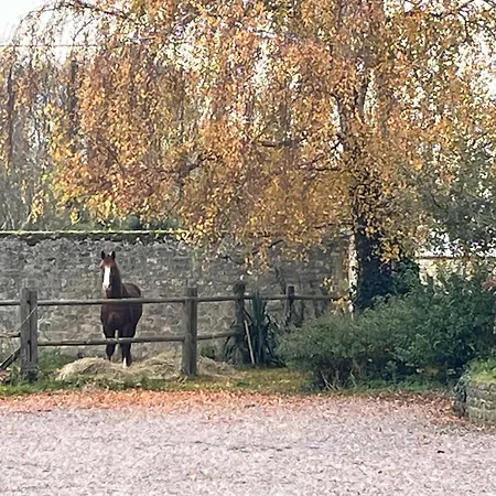 D'hotes Du Grand Parc Panzió