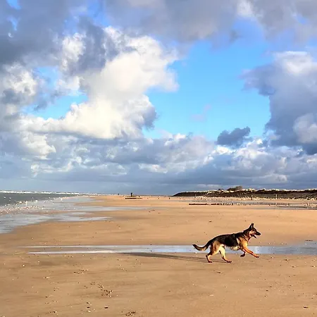 D'hotes Du Grand Parc Bed & Breakfast 3*