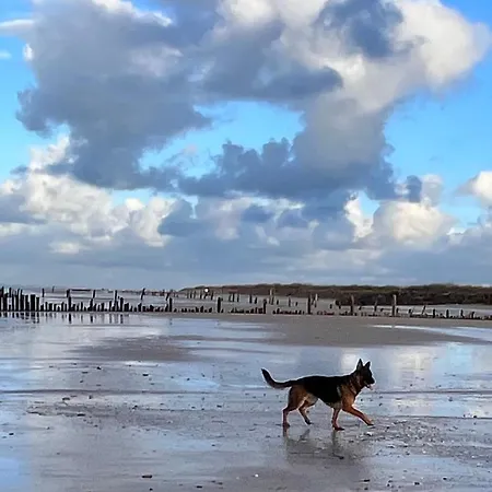 D'hotes Du Grand Parc Bed & Breakfast Rucqueville