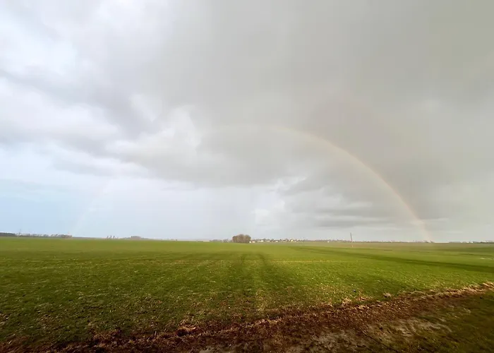 住宿加早餐酒店 D'hotes Du Grand Parc 3*