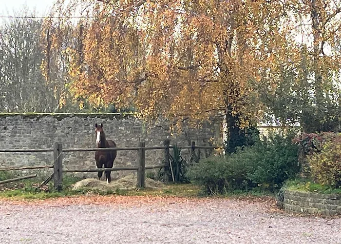 D'hotes Du Grand Parc Panzió