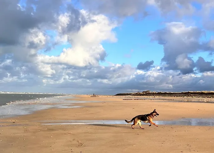 D'hotes Du Grand Parc Panzió 3*