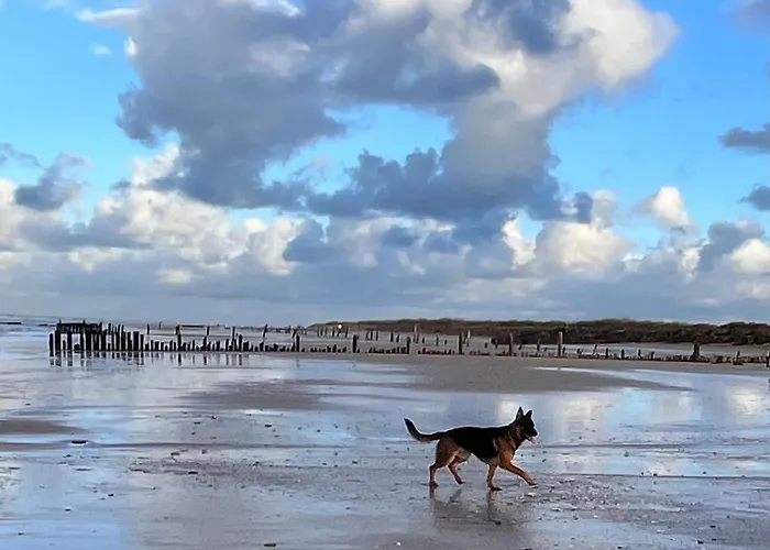 D'hotes Du Grand Parc Panzió Rucqueville